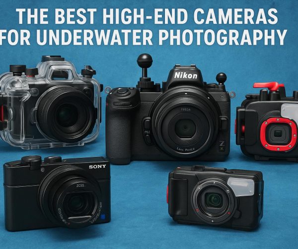The Best High-End Cameras for Underwater Photography